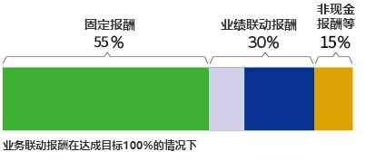 以代表董事为例Img